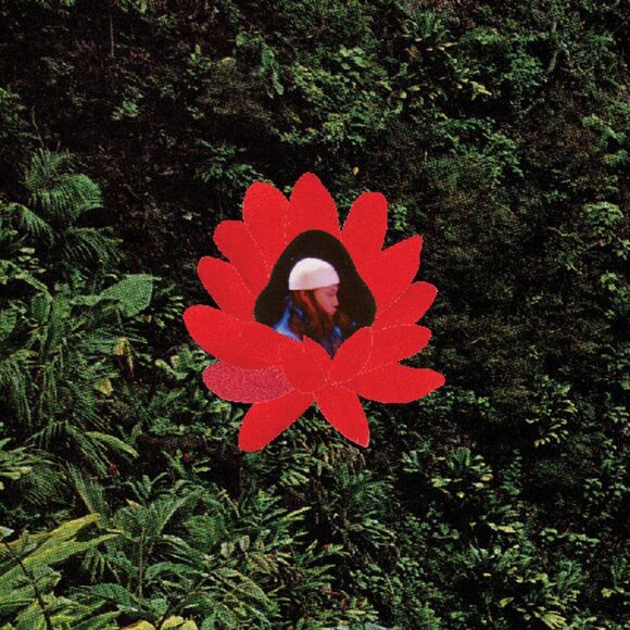 Stones Throw Other - Lionmilk - When The Flowers Bloom  LP LP